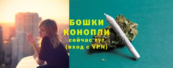 СК Белокуриха