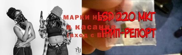 трава Беломорск