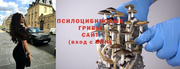 трава Беломорск