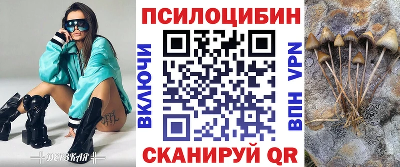 купить  сайты  Чёрмоз  Псилоцибиновые грибы мухоморы 