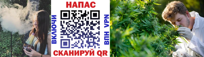 ссылка на мегу зеркало  Чёрмоз  МАРИХУАНА индика 